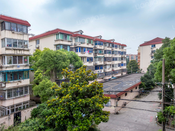 南杨花园