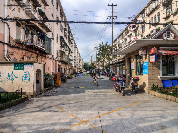 曹杨三村(兰岭园)